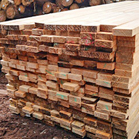 广西建筑木方低价促销国产杉木澳松云杉白松 材质种类齐全 全国送货